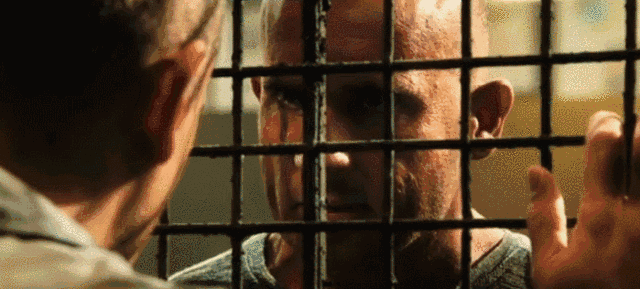 5.gif
